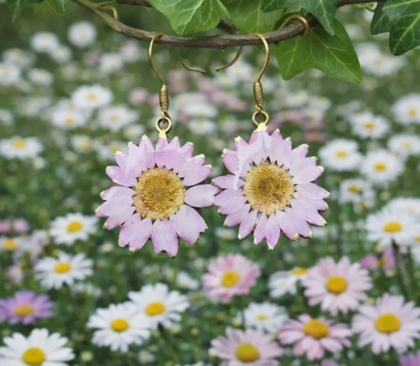 Orecchini - Fiore margherita rosa