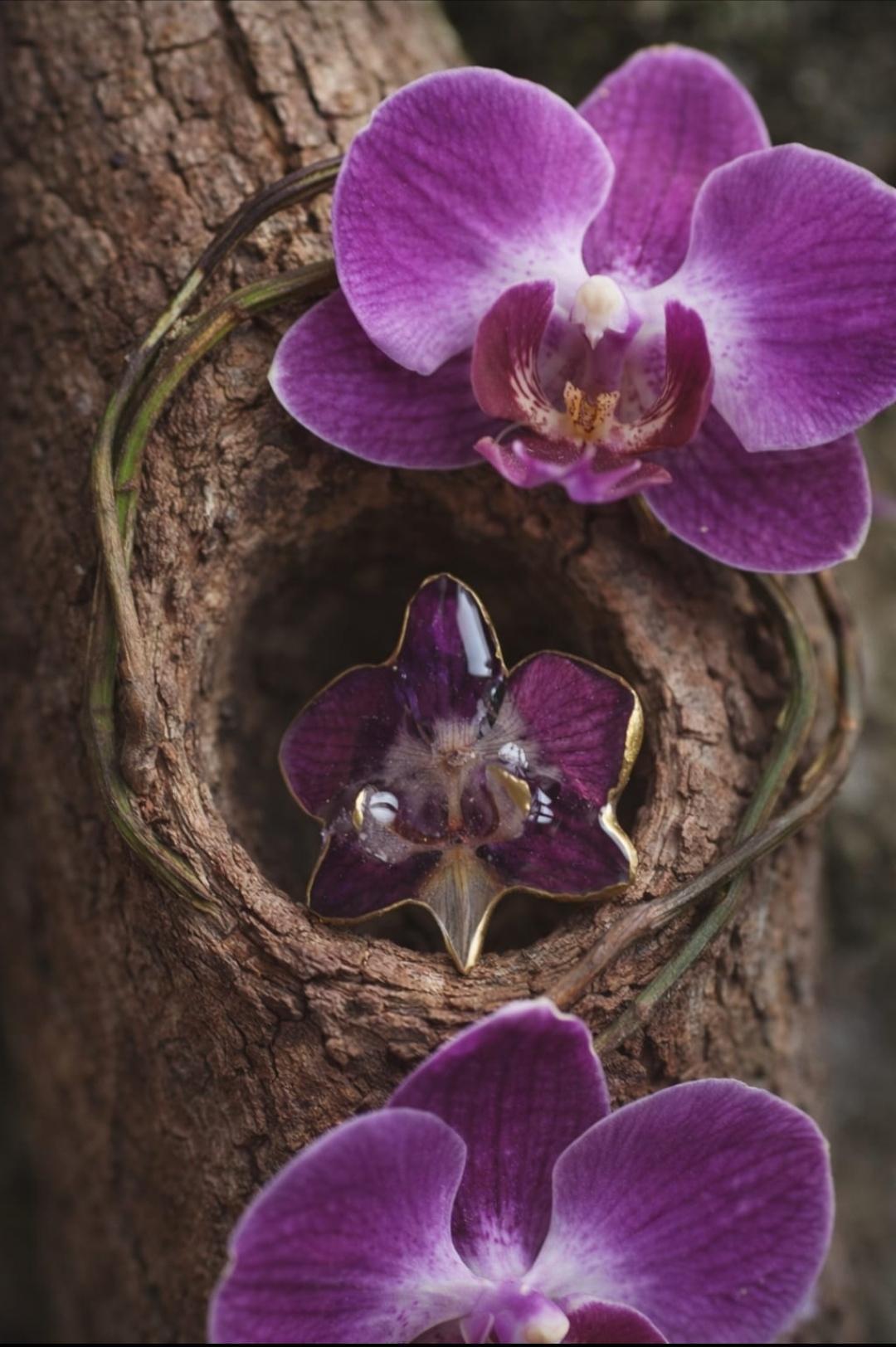 Primizie - Anello - Orchidea